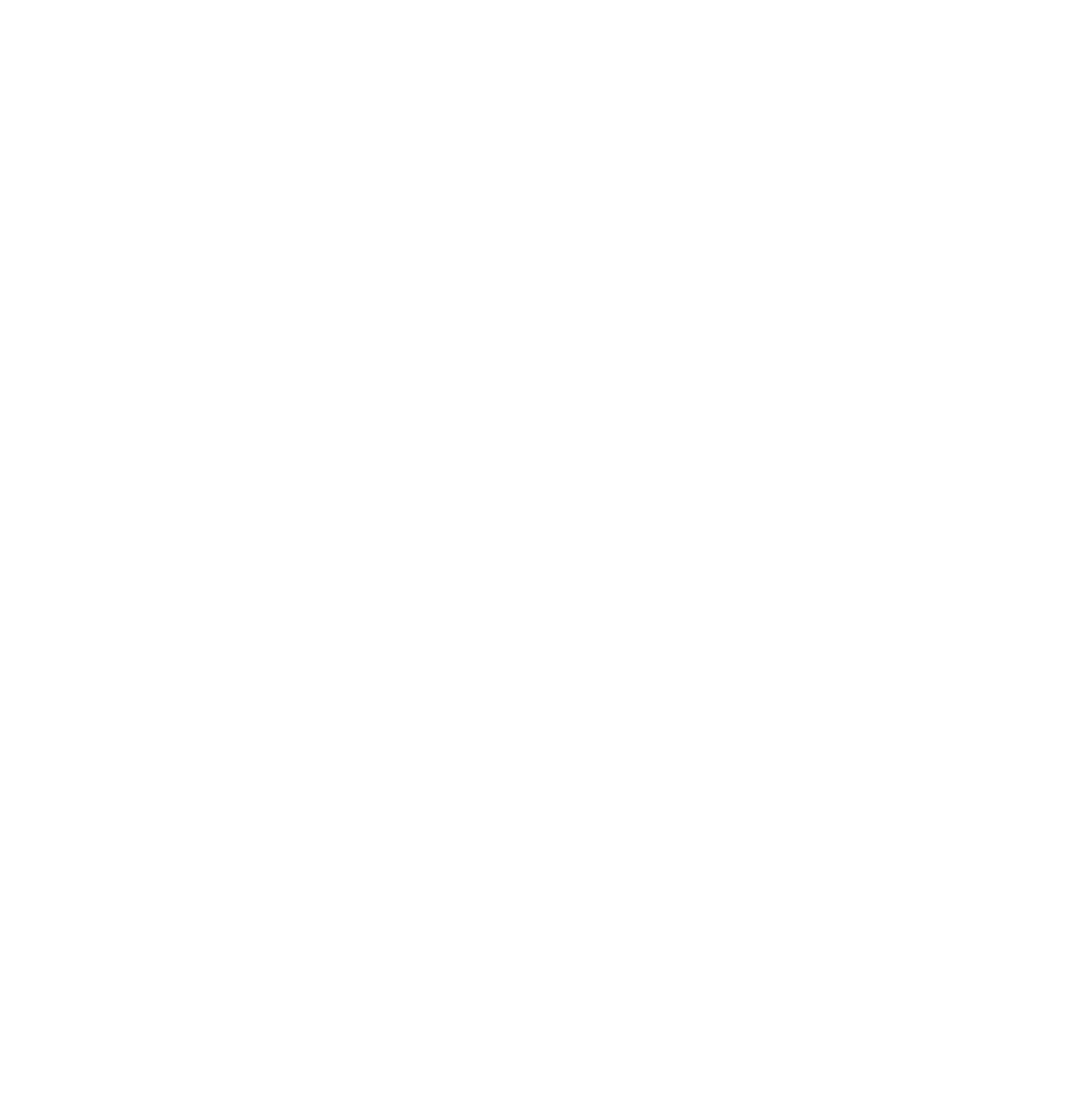 ハヤシモトシステムズのロゴマーク